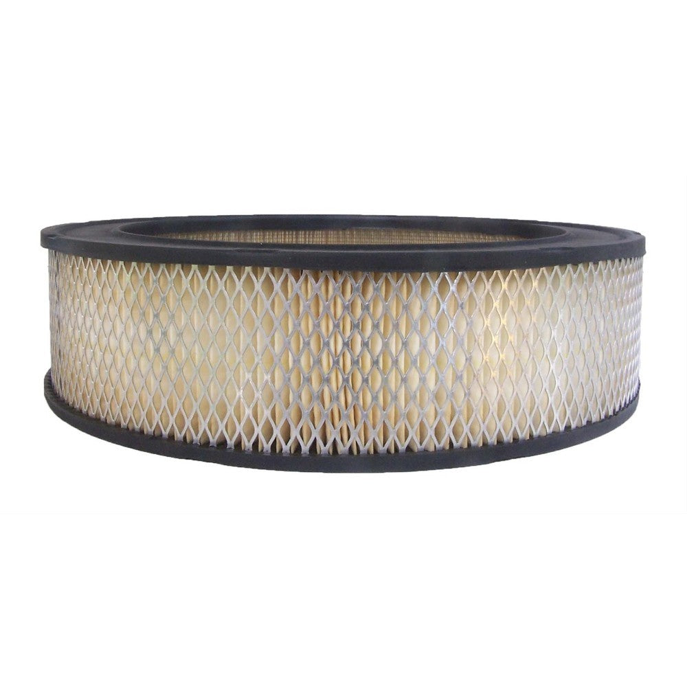 ACDelco • Air Filter • Chevy GM Buick Pontiac Chevrolet OE • #A86CW1