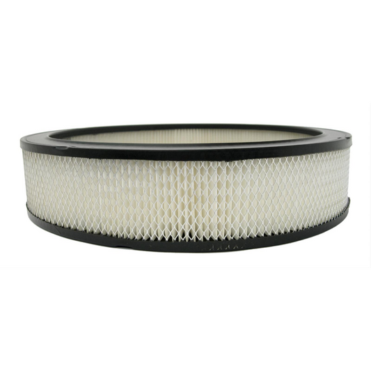 AC Delco - Air Filter - Chevy GM Buick Pontiac Chevrolet Corvette OE - #A212CW