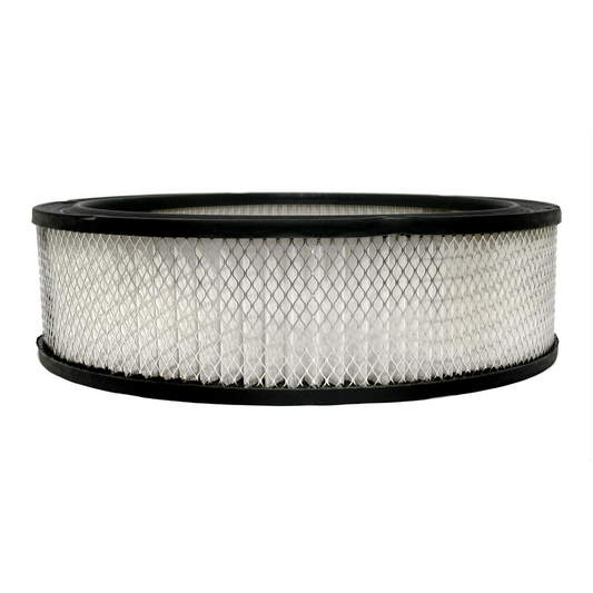 AC Delco - Air Filter - Chevy GM Buick Pontiac Chevrolet Corvette OE - #A348C